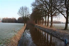 Baakse beek