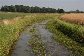 Begroeide Keizersbeek