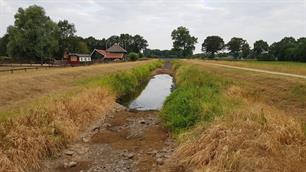 Droogte en reddingsacties vissen in nood