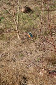IMG 8655 (Small)