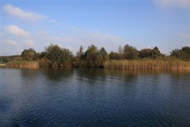 IMG_0774 (Small)