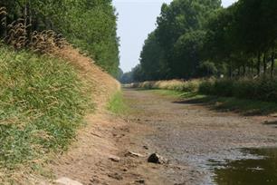 Landbouw en natuur hebben last van droogte