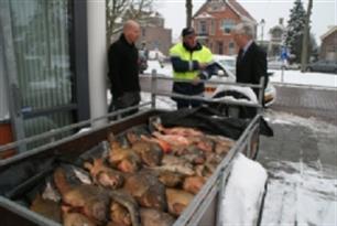 Massale sterfte dreigt door winterweer