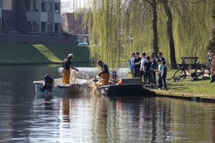 Onderzoek naar blauwalg in de Groenlose Gracht