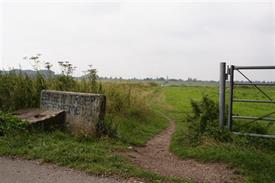 Pad naar de Waal bij Nijmegen