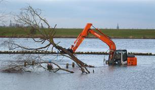 Rivierhout in de IJssel