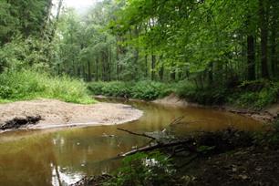 Samenwerking schonere beek