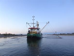 Vissen op zalm en plastic