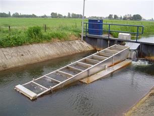 Vistrek van en naar de IJssel stapje dichterbij